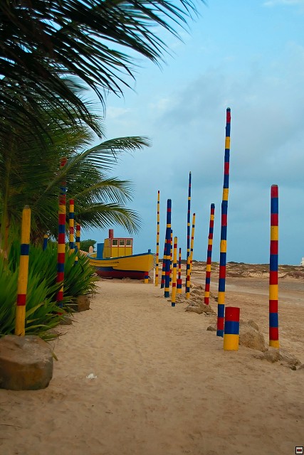 img00011.jpg