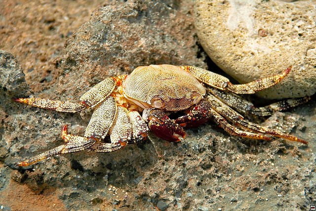 img00005.jpg