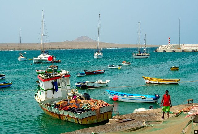 img00007.jpg