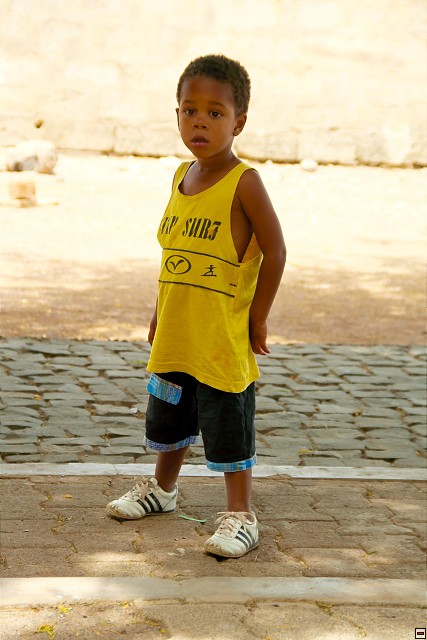 img00026.jpg