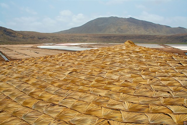 img00041.jpg