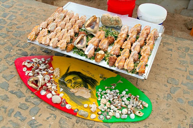 img00051.jpg