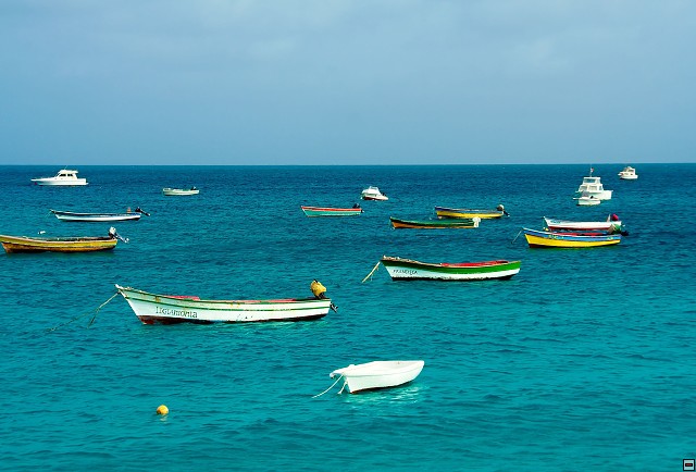 img00057.jpg