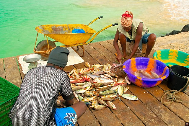 img00021.jpg
