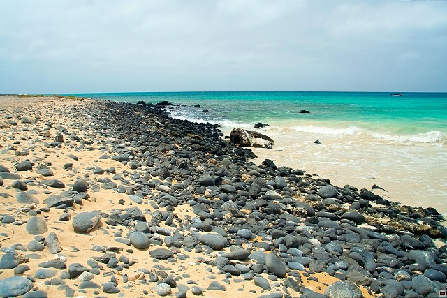 img00028.jpg