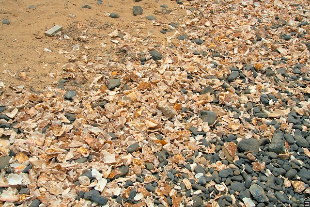img00029.jpg