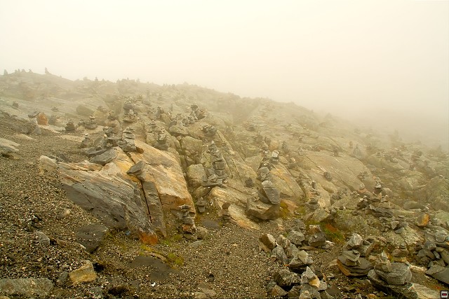 img00020.jpg