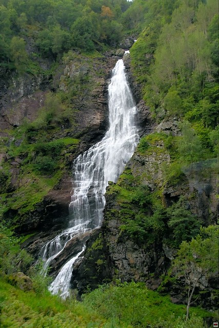 img00053.jpg