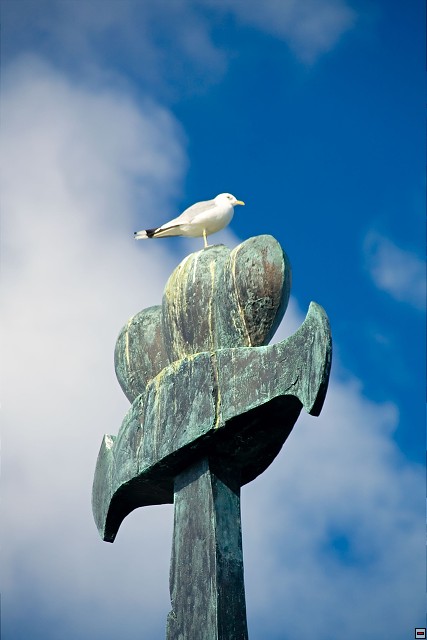 img00031.jpg