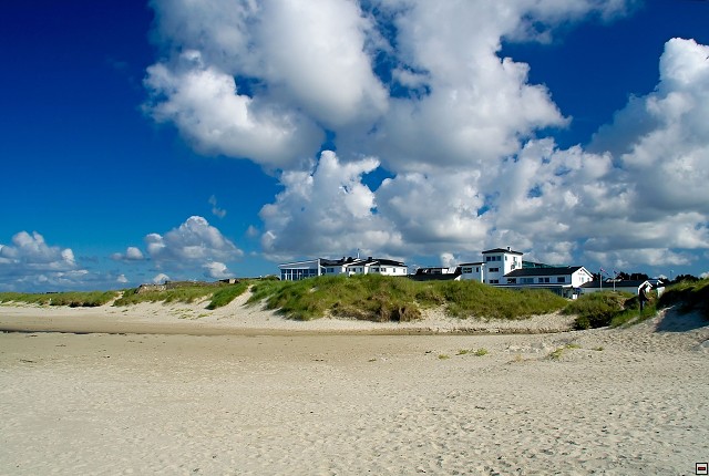 img00036.jpg