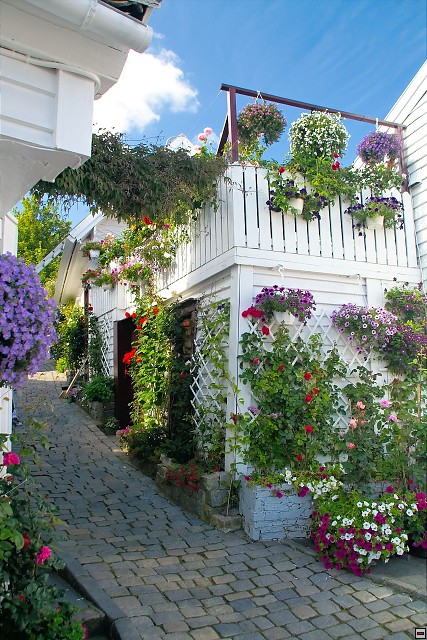 img00044.jpg
