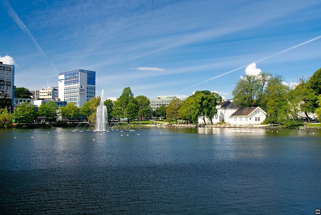 img00050.jpg