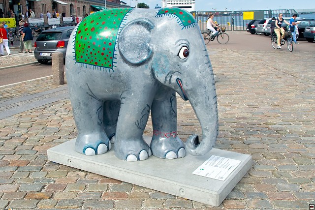 img00045.jpg