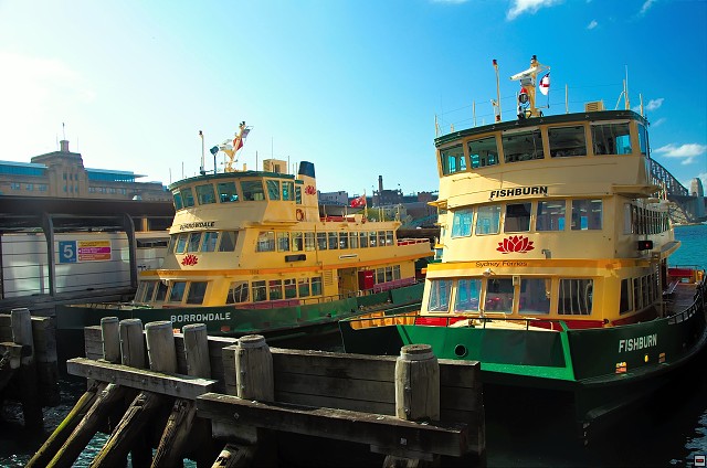 img00008.jpg