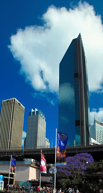 img00010.jpg