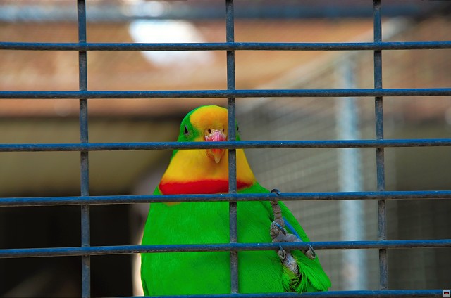 img00003.jpg