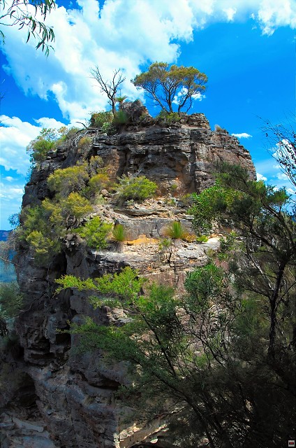 img00015.jpg