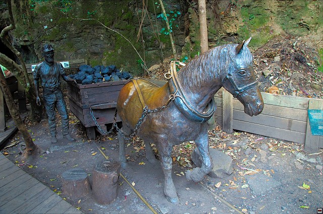 img00022.jpg