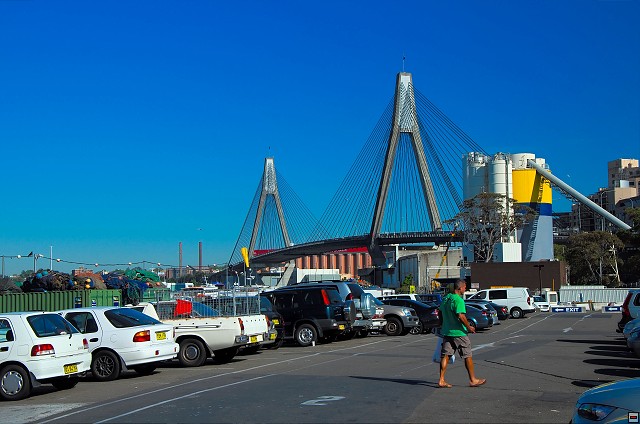 img00009.jpg