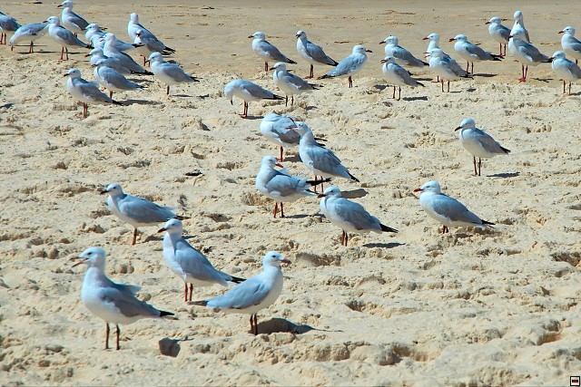 img00012.jpg
