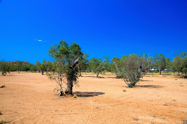 img00009.jpg