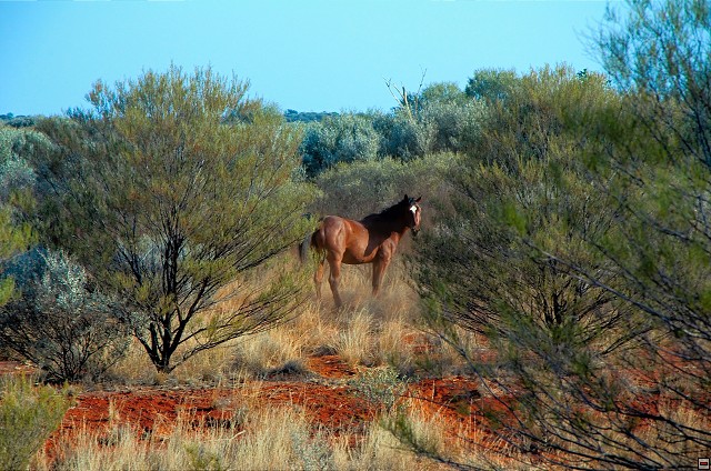 img00022.jpg