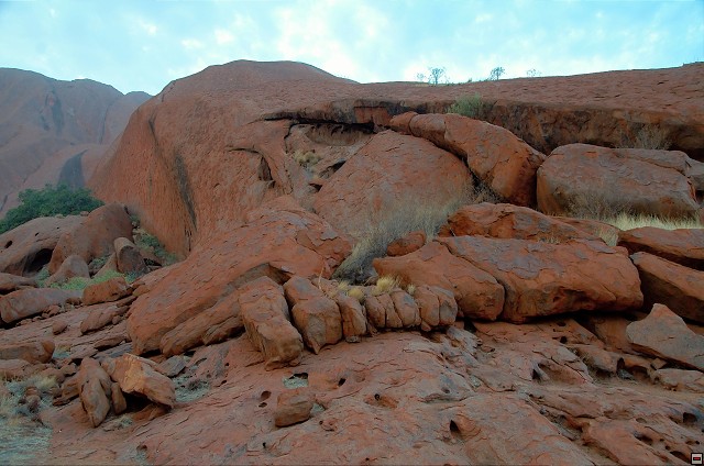 img00006.jpg