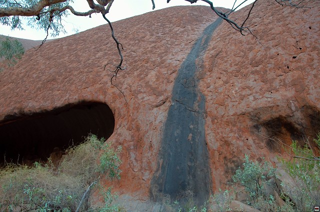 img00007.jpg