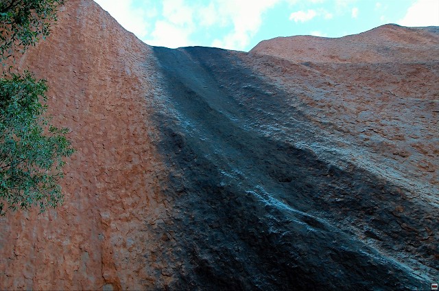 img00010.jpg