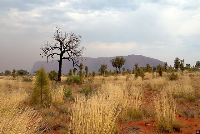 img00019.jpg