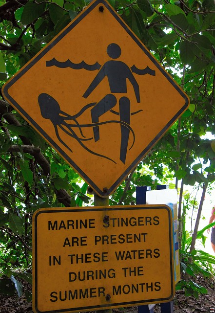 img00016.jpg