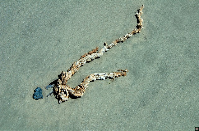 img00022.jpg