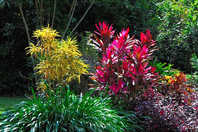 img00025.jpg