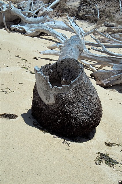 img00014.jpg