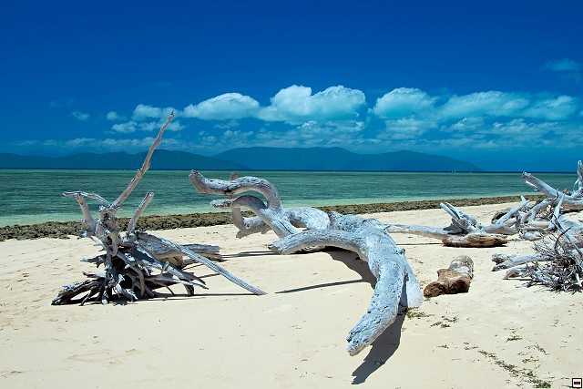 img00016.jpg