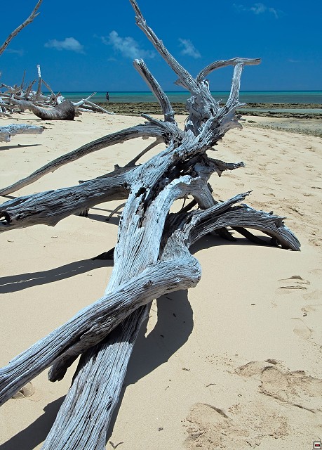 img00019.jpg