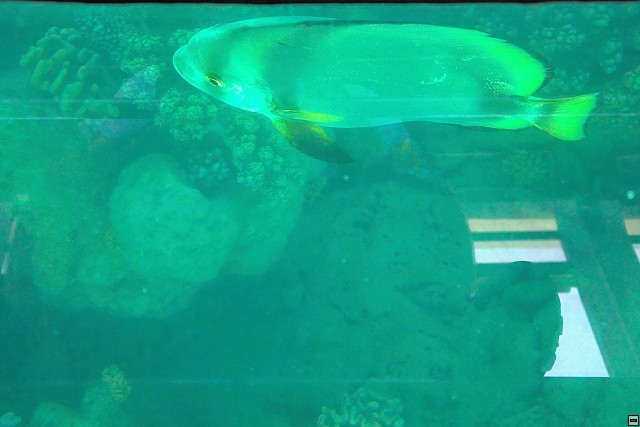 img00025.jpg