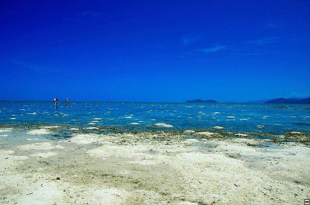 img00028.jpg