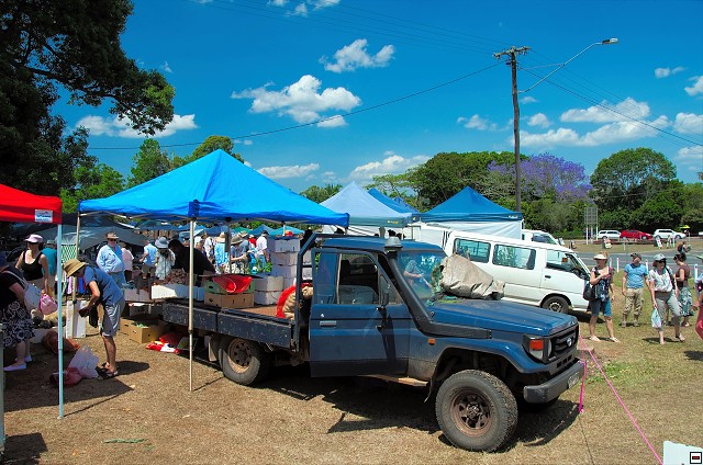 img00006.jpg