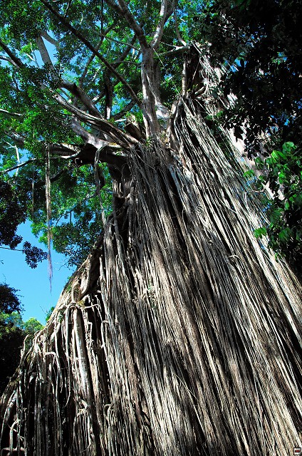 img00020.jpg