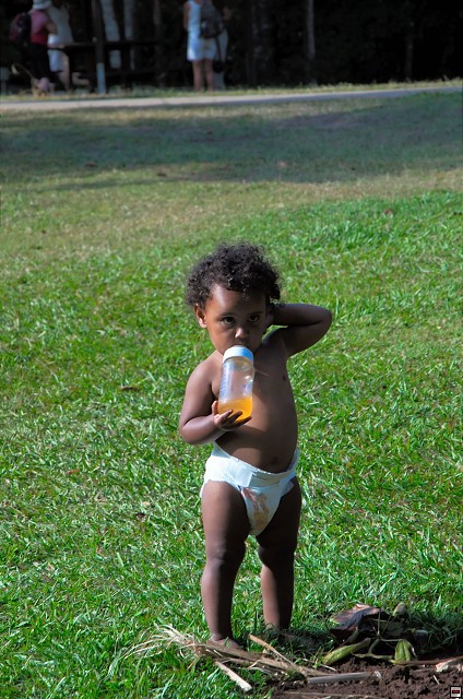 img00024.jpg