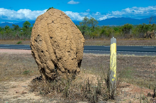img00015.jpg