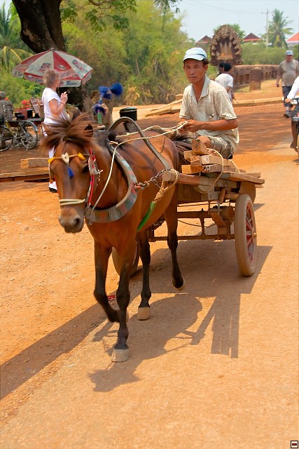 img00017.jpg