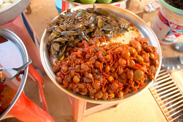 img00020.jpg