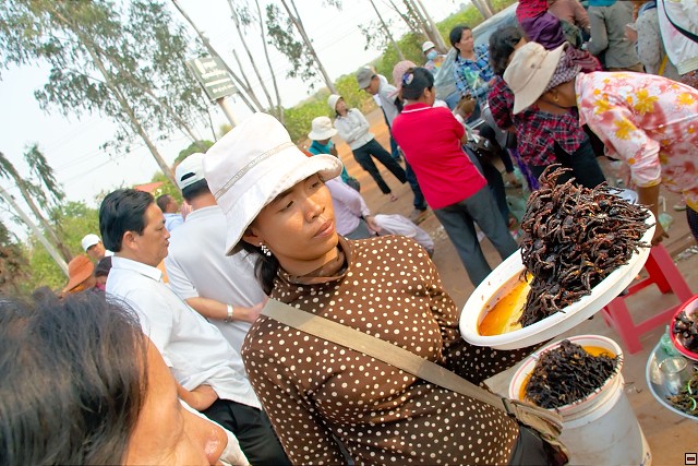 img00023.jpg