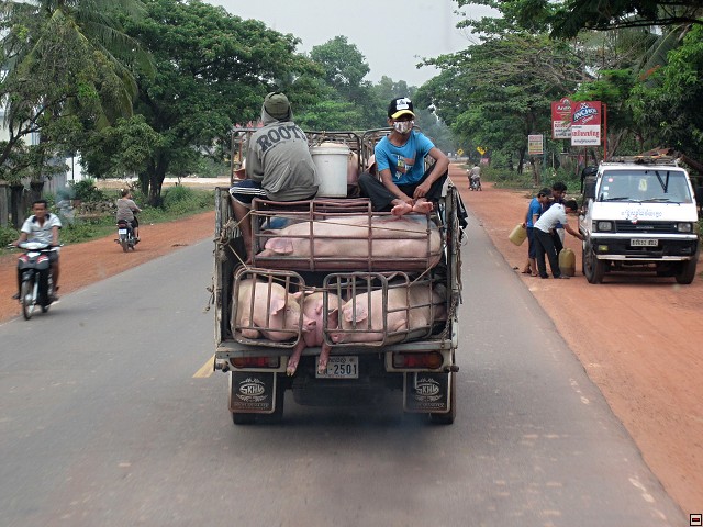 img00001.jpg