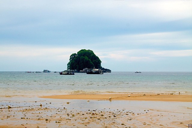 img00011.jpg