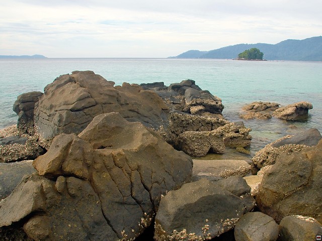 img00018.jpg