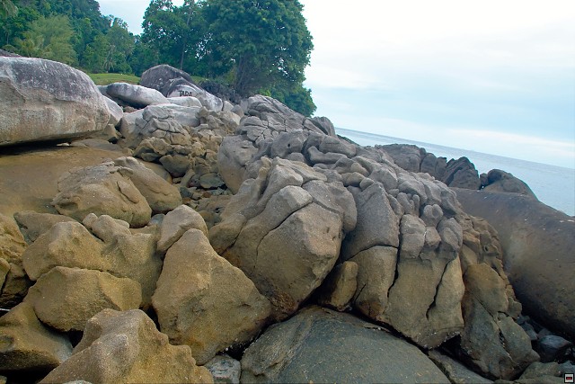 img00019.jpg