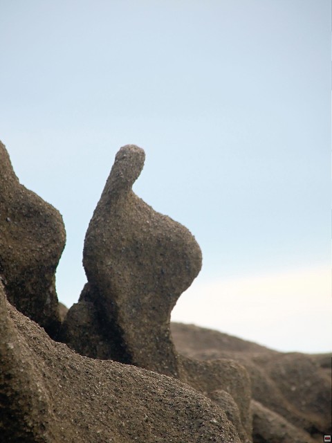 img00020.jpg